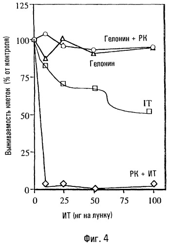 Потенциирование цитотоксичности, обусловленной анти-cd38- иммунотоксином (патент 2261090)