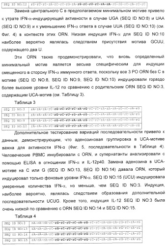 Мотивы последовательности рнк в контексте определенных межнуклеотидных связей, индуцирующие специфические иммуномодулирующие профили (патент 2435851)