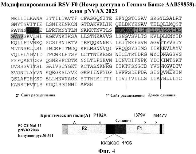 Модифицированные f протеины sv и способы их применения (патент 2531510)