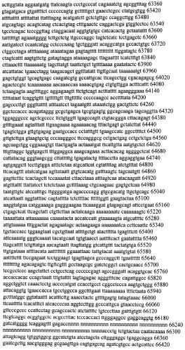 Модуляция экспрессии гентингтина (патент 2562861)