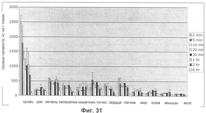 Водорастворимые анионсодержащие производные бактериохлорофилла и их применение (патент 2353624)