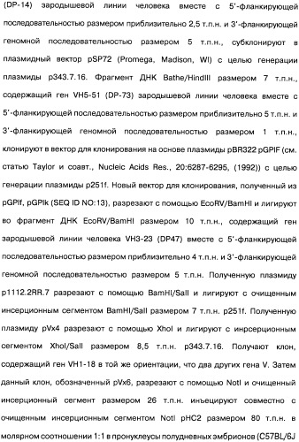 Человеческие моноклональные антитела к рецептору эпидермального фактора роста (egfr), способ их получения и их использование, гибридома, трансфектома, трансгенное животное, экспрессионный вектор (патент 2335507)