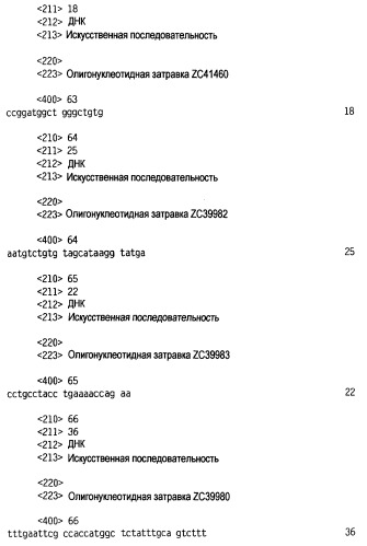 Новый лиганд рецептора цитокина zcytor17 (патент 2360923)