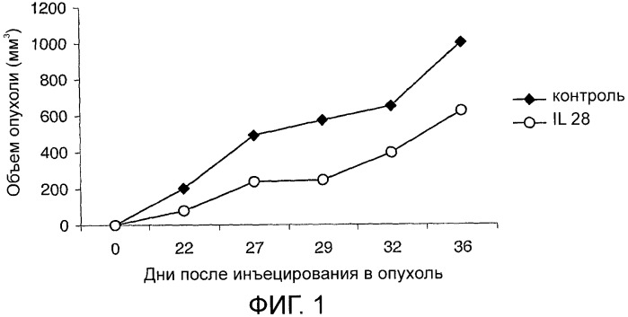 Применение il-28 и il-29 для лечения карциномы и аутоиммунных нарушений (патент 2389502)