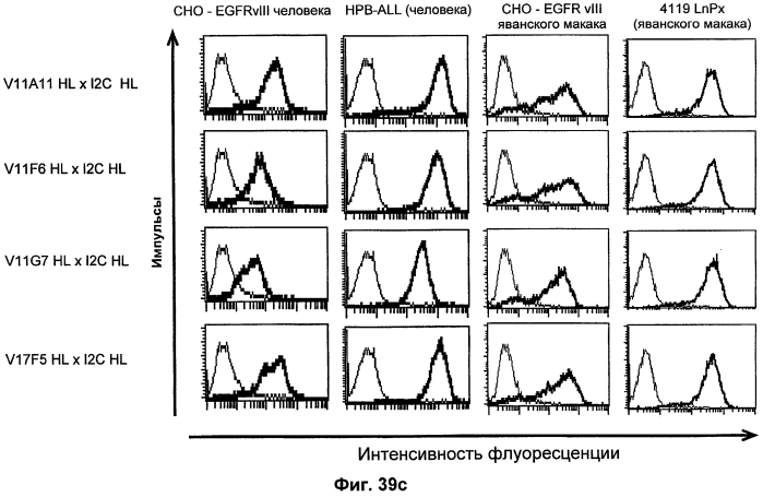 Cd3-эпсилон-связывающий домен с межвидовой специфичностью (патент 2561457)