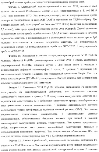 Антитело, содержащее fc-вариантную часть (варианты), фармацевтическая композиция, содержащая антитело, и способ лечения млекопитающего (патент 2390527)