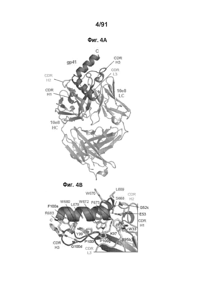 Gp41-нейтрализующие антитела и их применение (патент 2624046)