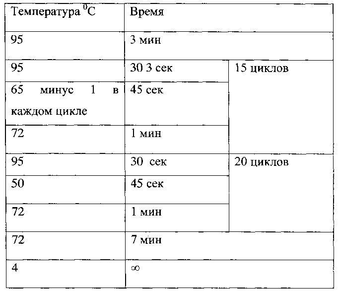 Способ генетической паспортизации штаммов bacillus thuringiensis с помощью проведения мультиплексного экспресс-анализа референтных последовательностей днк (патент 2627178)