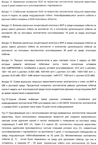 Улучшенная трансформация сои (патент 2389797)