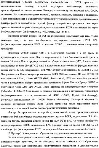 Белки, связывающие антиген фактор роста, подобный гепаринсвязывающему эпидермальному фактору роста (патент 2504551)