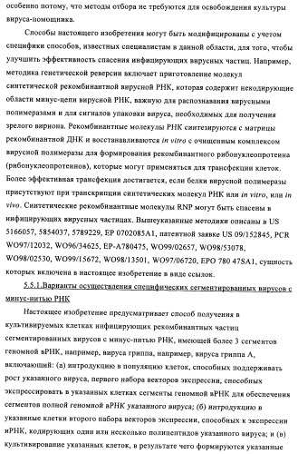 Способы и композиции для экспрессии антисмысловой вирусной рнк в клетках собаки (патент 2457250)