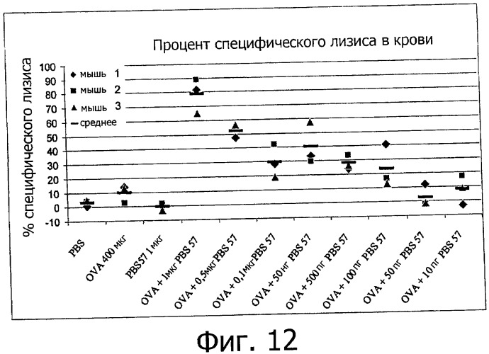 Комбинированный препарат для увеличения иммуногенности вакцины (варианты) (патент 2491090)