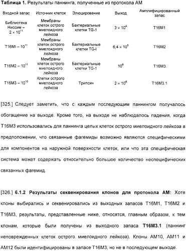 Специфические антитела человека для избирательной терапии рака (патент 2316564)