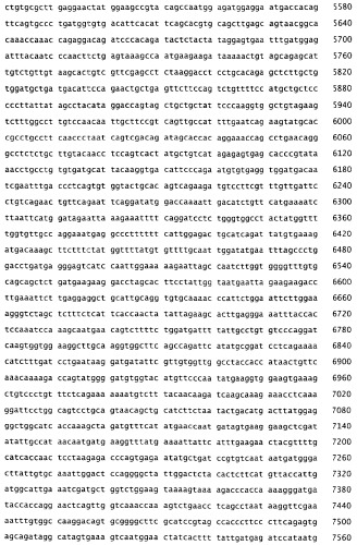 Применение s1p (патент 2362565)