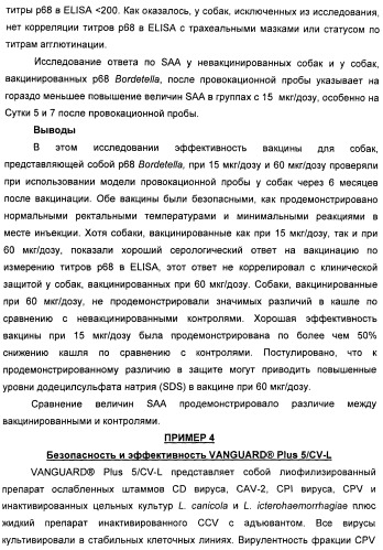 Поливалентные вакцины для собак против leptospira bratislava и других патогенов (патент 2400248)