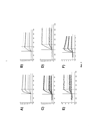 Антитела против а2 тенасцина с и способы их применения (патент 2584597)