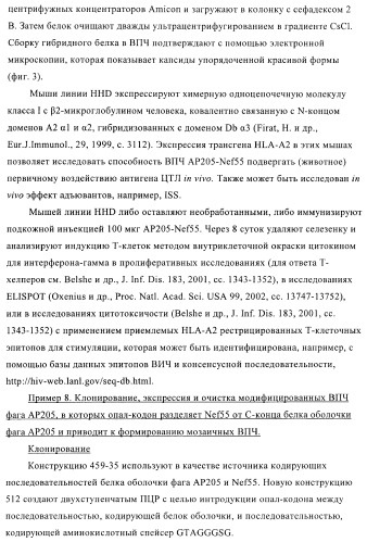 Вирусоподобные частицы, включающие гибридный белок белка оболочки бактериофага ар205 и антигенного полипептида (патент 2409667)