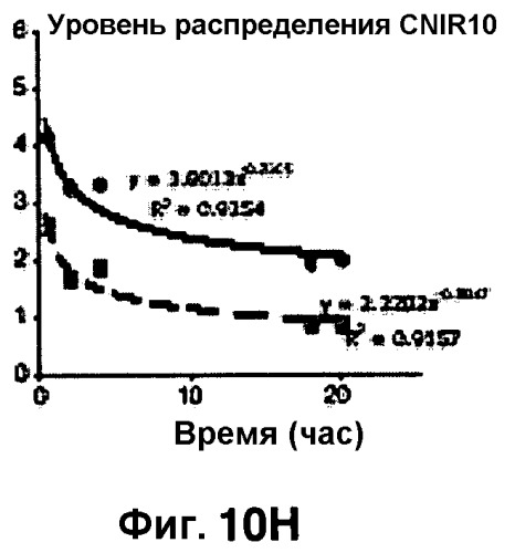 Применение бактериальной бета-лактамазы для диагностики in vitro и визуализации, диагностики и лечения in vivo (патент 2520661)
