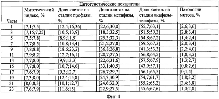 Способ изучения суточного ритма цитогенетических показателей древесных растений (патент 2365091)