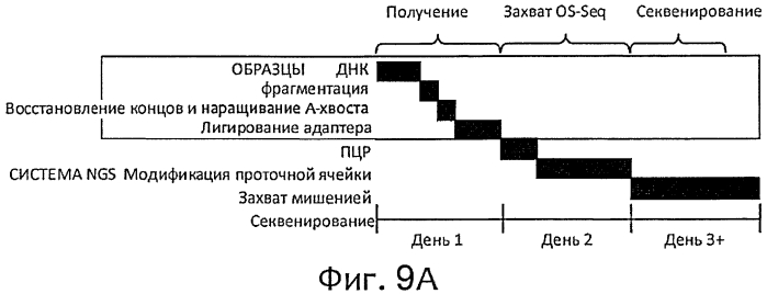 Прямой захват, амплификация и секвенирование днк-мишени с использованием иммобилизированных праймеров (патент 2565550)