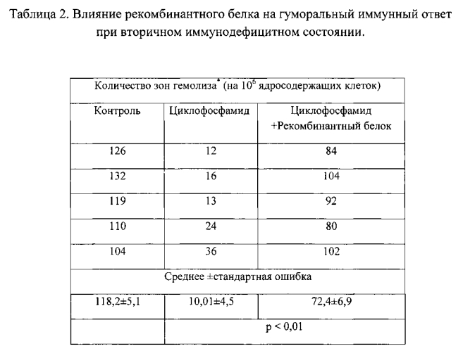 Рекомбинантный белок rec-mp, содержащий в своем составе последовательности миелопептидов для лечения вторичных иммунодефицитных состояний (патент 2585494)