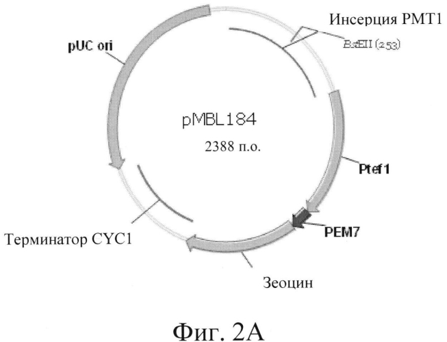 Способ снижения степени гликозилирования белков, способы и белки (патент 2575607)