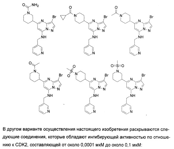 Новые пиразолопиримидины как ингибиторы циклин-зависимой киназы (патент 2380369)