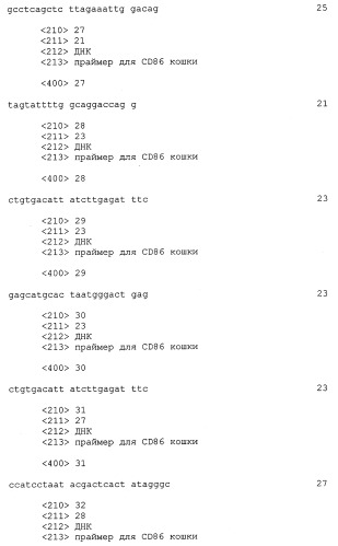 Выделенная нуклеиновая кислота, кодирующая лиганд cd86 кошки, диагностический олигонуклеотид, клонирующий вектор, вакцина, способы индукции или подавления иммунитета у кошки (патент 2263145)