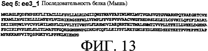 Ее3-семейство белков и соответствующие днк-последовательности (патент 2333918)