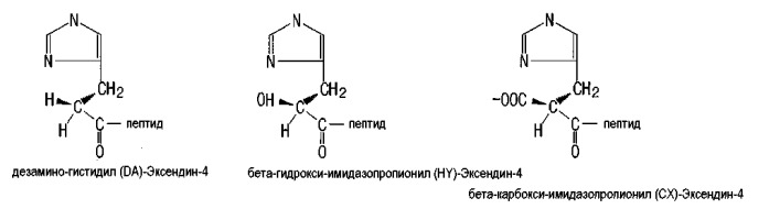С пептид что показывает. N концевой пептид. Гистидил. Гистидил формула. Производные пептидов.