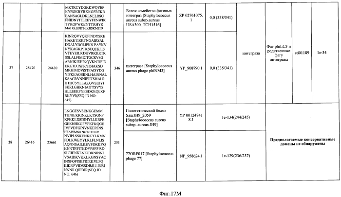 Бактериофаг, обладающий активностью против pseudomonas aeruginosa, белки бактериофага и способы их применения (патент 2580248)