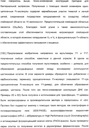 Специфические антитела человека для избирательной терапии рака (патент 2316564)