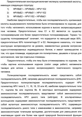 Полинуклеотидная последовательность, кодирующая полипептид вируса папилломы человека, ее применение, а также содержащие ее вектор и фармацевтическая композиция (патент 2354701)
