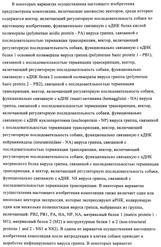 Способы и композиции для экспрессии антисмысловой вирусной рнк в клетках собаки (патент 2457250)