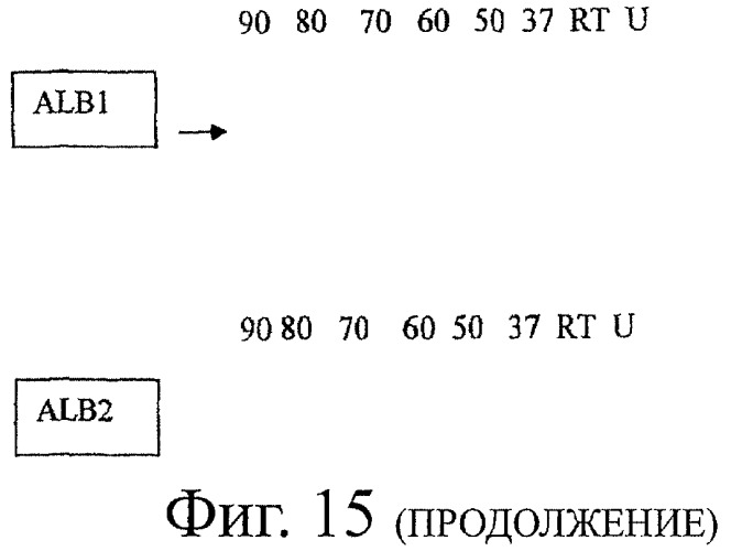 Улучшенные нанотела против фактора некроза опухоли-альфа (патент 2464276)