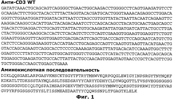 Полиспецифические деиммунизирующие cd3-связующие (патент 2401843)