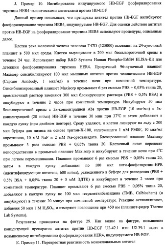 Белки, связывающие антиген фактор роста, подобный гепаринсвязывающему эпидермальному фактору роста (патент 2504551)