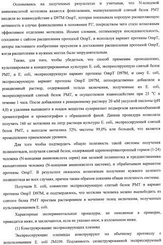 Способ расщепления полипептидов с использованием варианта протеазы оmpт (патент 2395582)