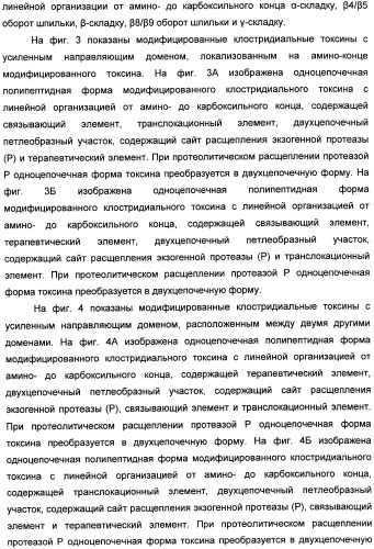 Способы лечения мочеполовых-неврологических расстройств с использованием модифицированных клостридиальных токсинов (патент 2491086)