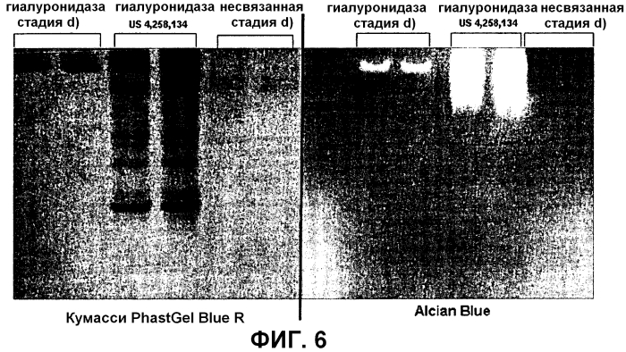 Внеклеточная гиалуронидаза из streptomyces koganeiensis (патент 2553205)