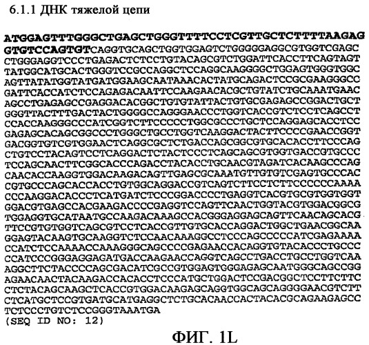 Применение антител к ctla-4 (патент 2346702)