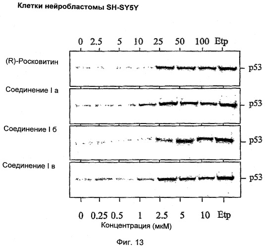 Перхаридины в качестве ингибиторов cdk (патент 2498984)