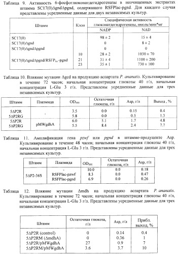 Бактерия, принадлежащая к роду pantoea, - продуцент l-аспартата или метаболита, являющегося производным l-аспартата, и способ получения l-аспартата или метаболита, являющегося производным l-аспартата (патент 2411289)