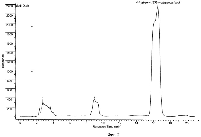 Препарат 4-hydroxy-17r-methylincisterol, влияющий на тканевой обмен, и применение штамма гриба pleurotus 1137 для его получения (патент 2435599)