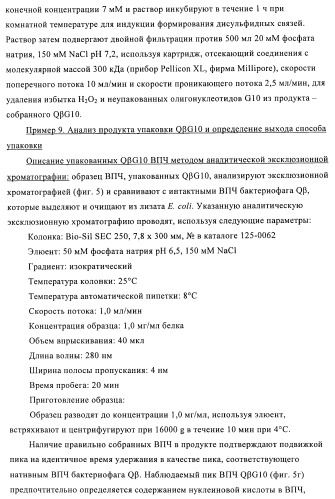 Способы упаковки олигонуклеотидов в вирусоподобные частицы рнк-содержащих бактериофагов (патент 2476595)