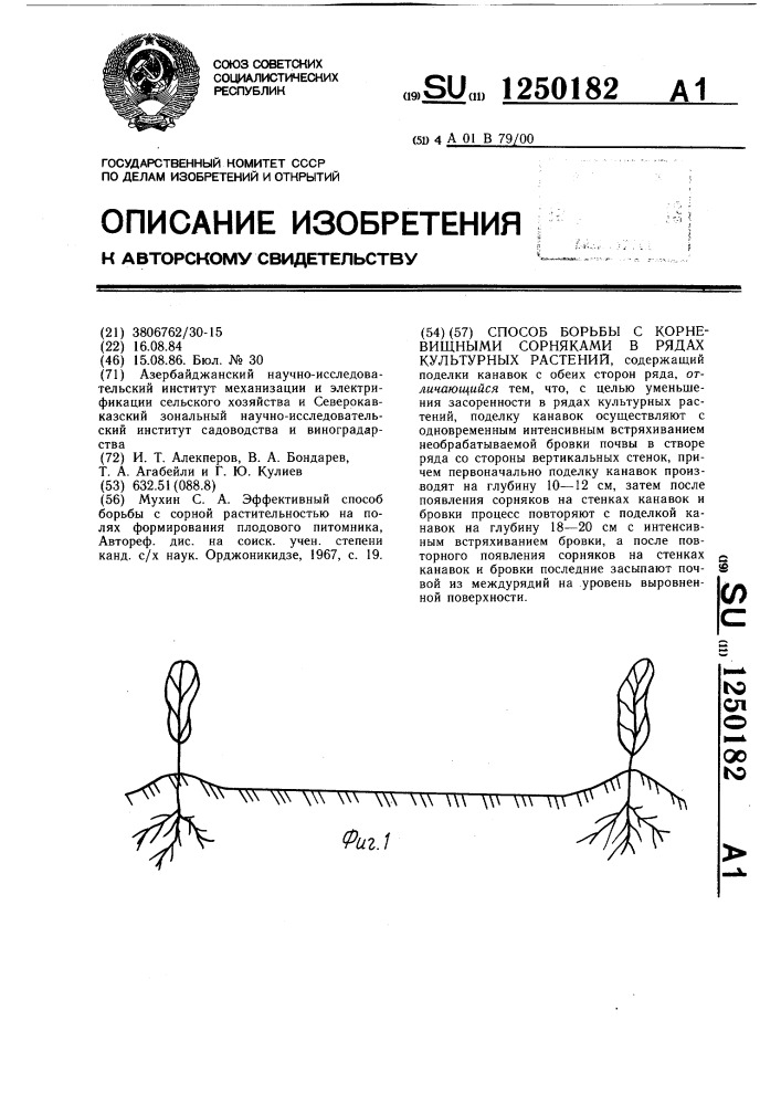 Способ борьбы с корневищными сорняками в рядах культурных растений (патент 1250182)