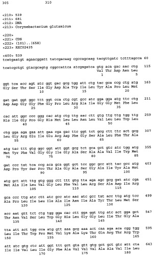 Гены corynebacterium glutamicum, кодирующие белки, участвующие в метаболизме углерода и продуцировании энергии (патент 2321634)