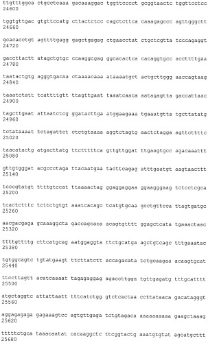 Иммортализованная клеточная линия птиц (патент 2475536)