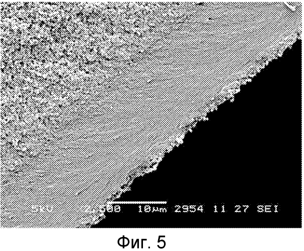 Половолоконная мембрана (патент 2569590)