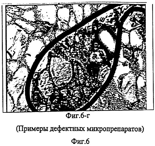 Способ микроскопического исследования образца (патент 2318201)